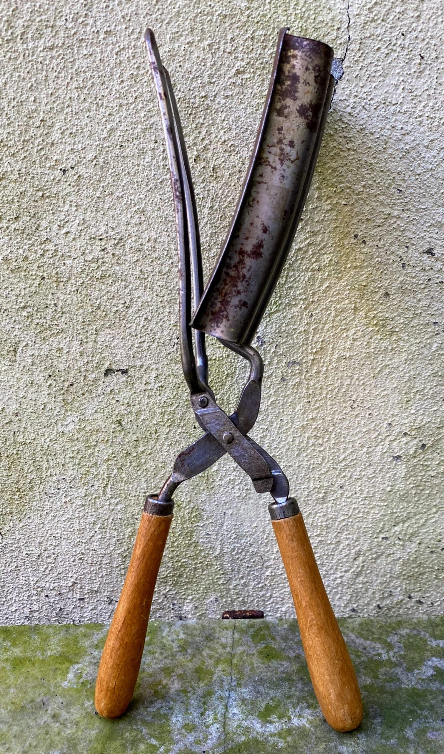 Antieke spiraalkrultang ca. 1900 – Saloninstrument met houten grepen