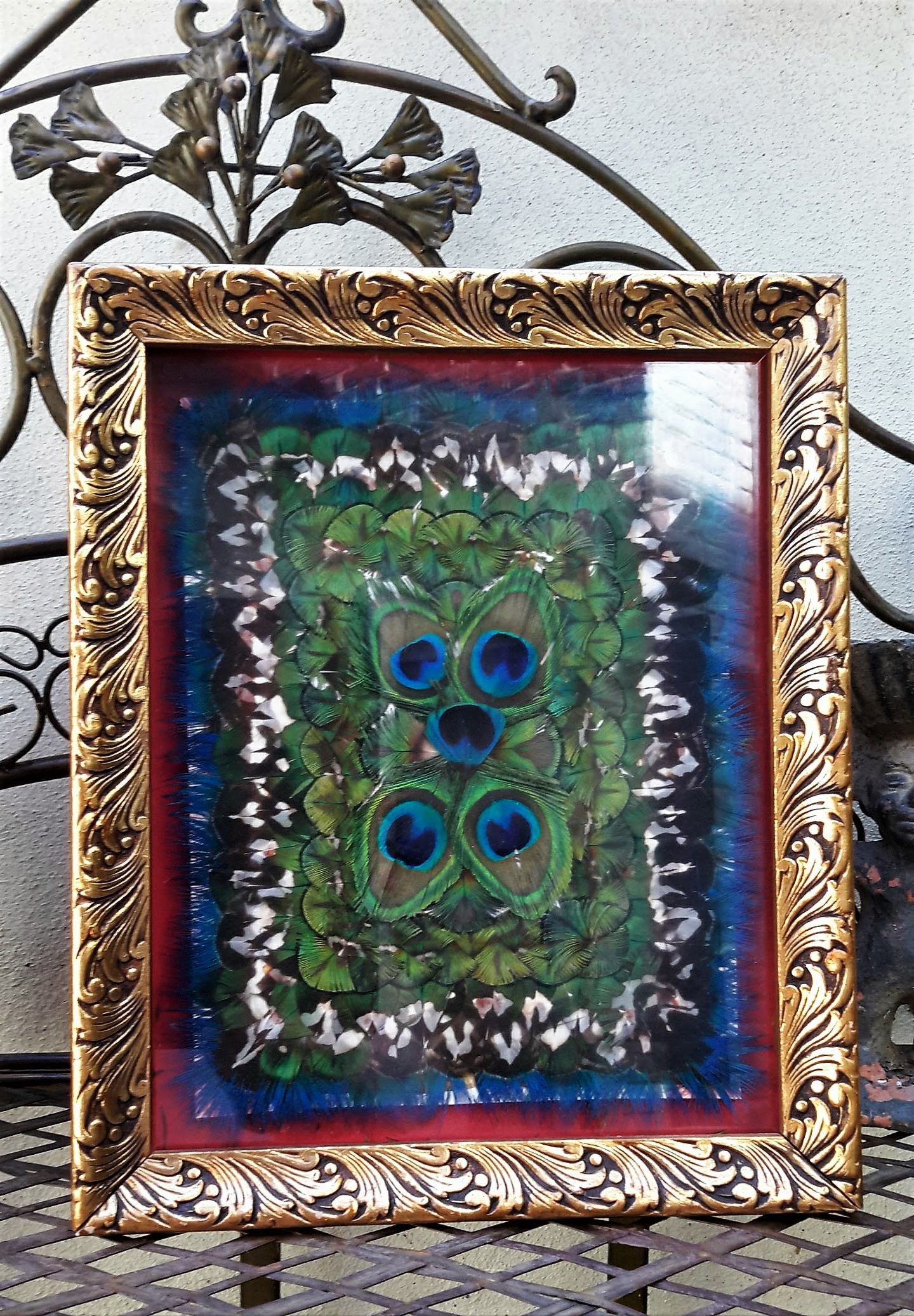 5393139375.jpg Fascinerend Stilleven van echte Pauwenveren in brocante lijst