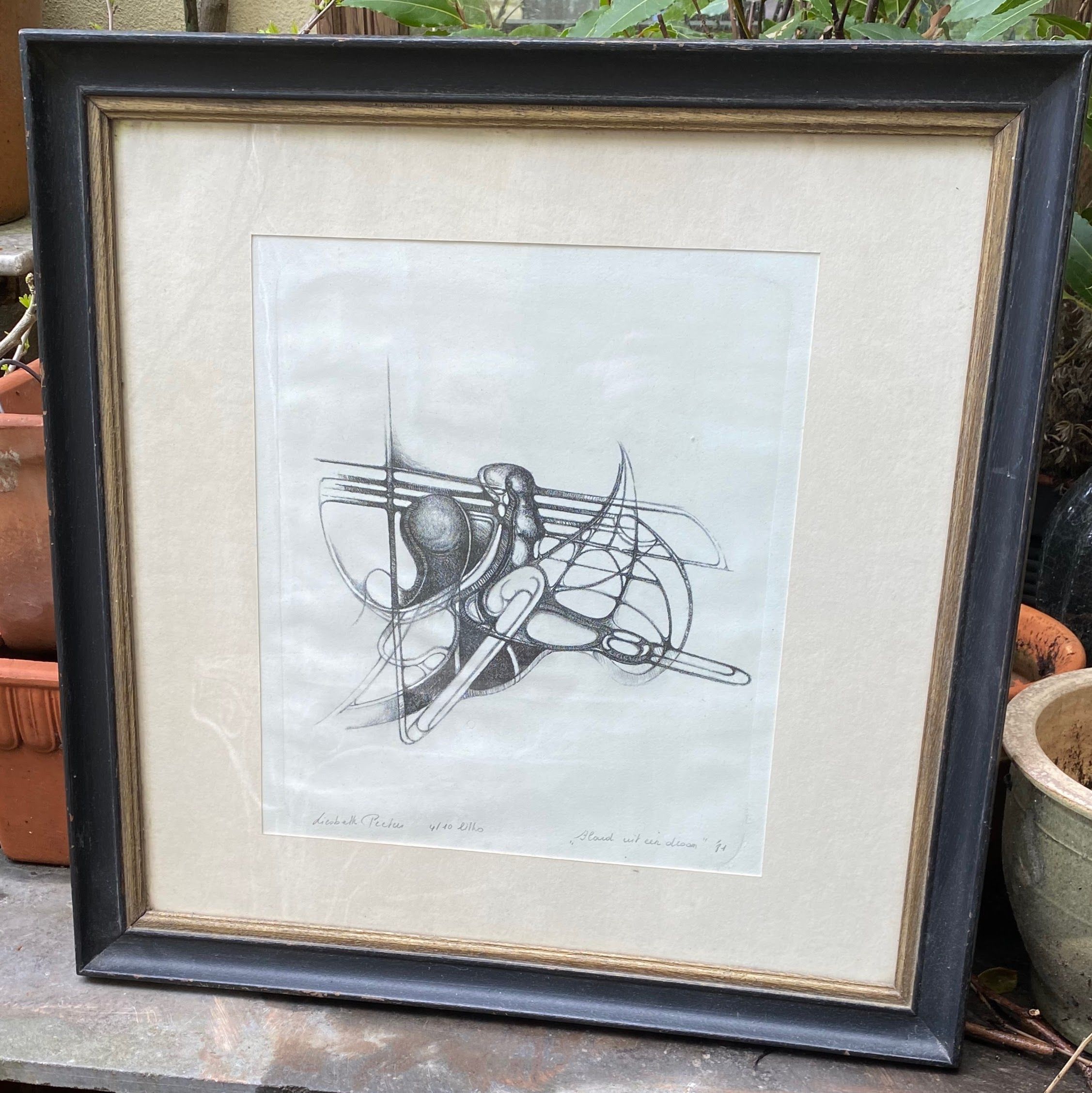5573148900.jpg Litho “Flard uit een droom” door Liesbeth Peeters – 1981