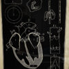 Anatomical heart & circulation chart Van In & Co, Lier – ca. 1940 (14)_resultaat Vintage anatomische schoolplaat Hart & Bloedsomloop – Anatomical heart & circulation chart Van In & Co, Lier – ca. 1940