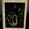 Anatomical heart & circulation chart Van In & Co, Lier – ca. 1940 (1)_resultaat Vintage anatomische schoolplaat Hart & Bloedsomloop – Anatomical heart & circulation chart Van In & Co, Lier – ca. 1940