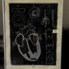 Anatomical heart & circulation chart Van In & Co, Lier – ca. 1940 (2)_resultaat Vintage anatomische schoolplaat Hart & Bloedsomloop – Anatomical heart & circulation chart Van In & Co, Lier – ca. 1940