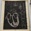 Anatomical heart & circulation chart Van In & Co, Lier – ca. 1940 (4)_resultaat Vintage anatomische schoolplaat Hart & Bloedsomloop – Anatomical heart & circulation chart Van In & Co, Lier – ca. 1940