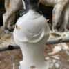 Antiek Chinees Guan Yin porseleinen beeldje uit Macau (5)_resultaat Gouden Sereniteit – Zeldzaam Chinees Guan Yin beeldje – Serene Chinese Guan Yin porcelain figurine – 1960s