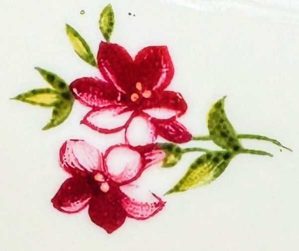 Prachtig porseleinen dessertbordje Cottier Frères Zwitserland | Beautiful porcelain dessert plate Cottier Frères Switzerland – Floral Design 1923
