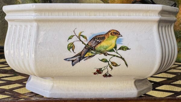 Vintage achthoekige Taunton Vale Staffordshire schaal | Vintage octagonal Taunton Vale Staffordshire bowl – Exotic birds, England 1970s
