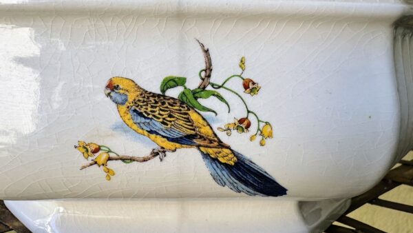 Vintage achthoekige Taunton Vale Staffordshire schaal | Vintage octagonal Taunton Vale Staffordshire bowl – Exotic birds, England 1970s