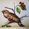 Vintage achthoekige Taunton Vale Staffordshire schaal | Vintage octagonal Taunton Vale Staffordshire bowl – Exotic birds, England 1970s