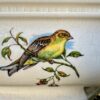 Vintage achthoekige Taunton Vale Staffordshire schaal | Vintage octagonal Taunton Vale Staffordshire bowl – Exotic birds, England 1970s