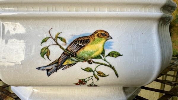 Vintage achthoekige Taunton Vale Staffordshire schaal | Vintage octagonal Taunton Vale Staffordshire bowl – Exotic birds, England 1970s
