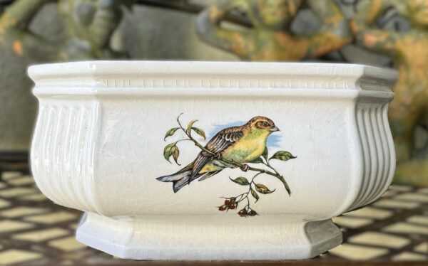 Vintage achthoekige Taunton Vale Staffordshire schaal | Vintage octagonal Taunton Vale Staffordshire bowl – Exotic birds, England 1970s