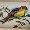 Vintage achthoekige Taunton Vale Staffordshire schaal | Vintage octagonal Taunton Vale Staffordshire bowl – Exotic birds, England 1970s