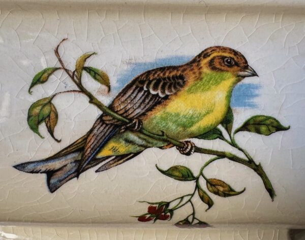 Vintage achthoekige Taunton Vale Staffordshire schaal | Vintage octagonal Taunton Vale Staffordshire bowl – Exotic birds, England 1970s