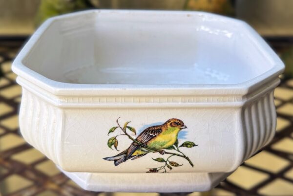 Vintage achthoekige Taunton Vale Staffordshire schaal | Vintage octagonal Taunton Vale Staffordshire bowl – Exotic birds, England 1970s