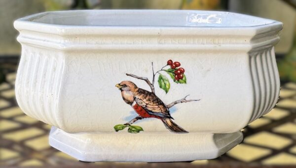 Vintage achthoekige Taunton Vale Staffordshire schaal | Vintage octagonal Taunton Vale Staffordshire bowl – Exotic birds, England 1970s