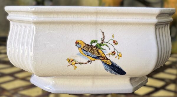 Vintage achthoekige Taunton Vale Staffordshire schaal | Vintage octagonal Taunton Vale Staffordshire bowl – Exotic birds, England 1970s